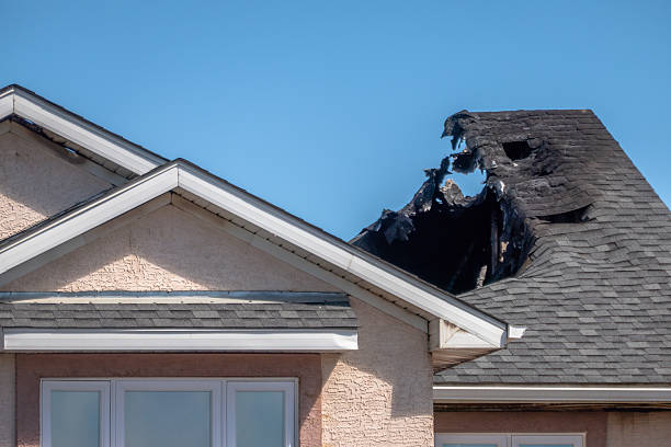 Top rated local Content Restoration specialists in Center City, MN